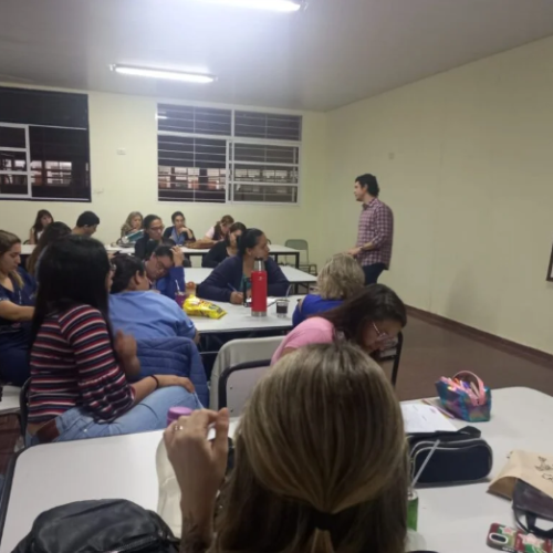 La Función Materna en el trabajo de Acompañar