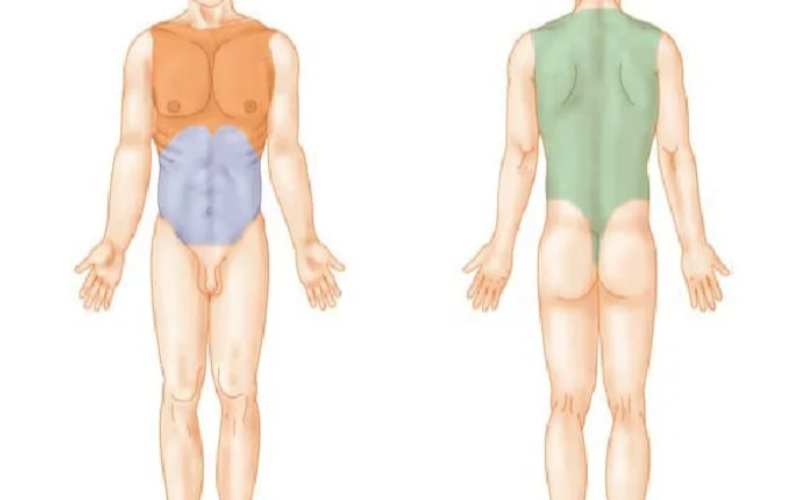 Anatomía y Movimiento