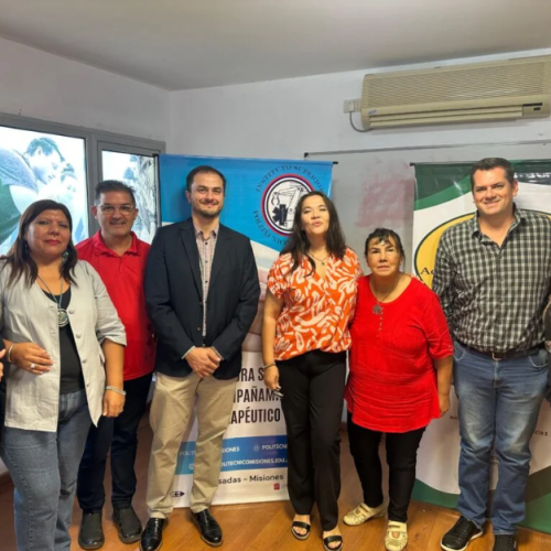 Día Mundial del Parkinson: Concientización y Celebración en Misiones