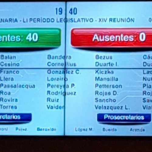 Misiones tiene Ley de Ejercicio Profesional del Acompañamiento Terapéutico